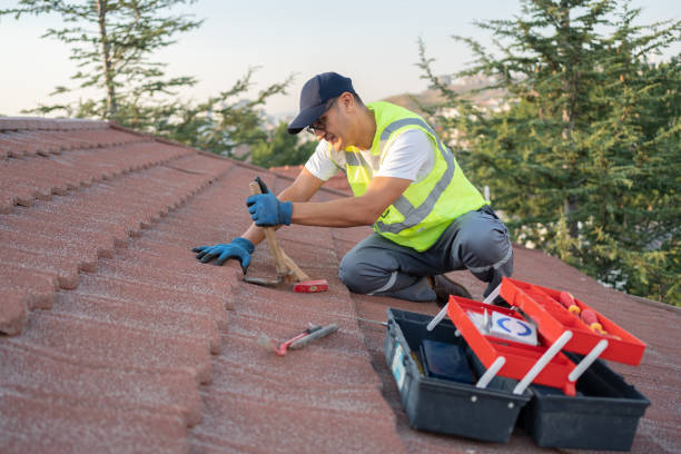Best Roof Maintenance Services  in Collierville, CA