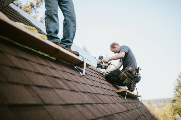 Best Roof Leak Repair  in Collierville, CA